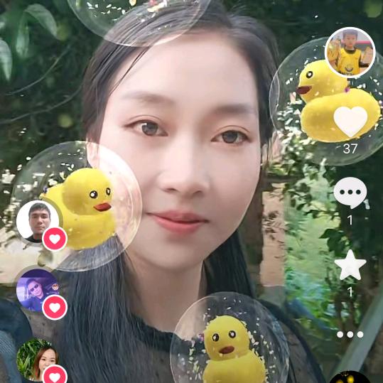 紫伊