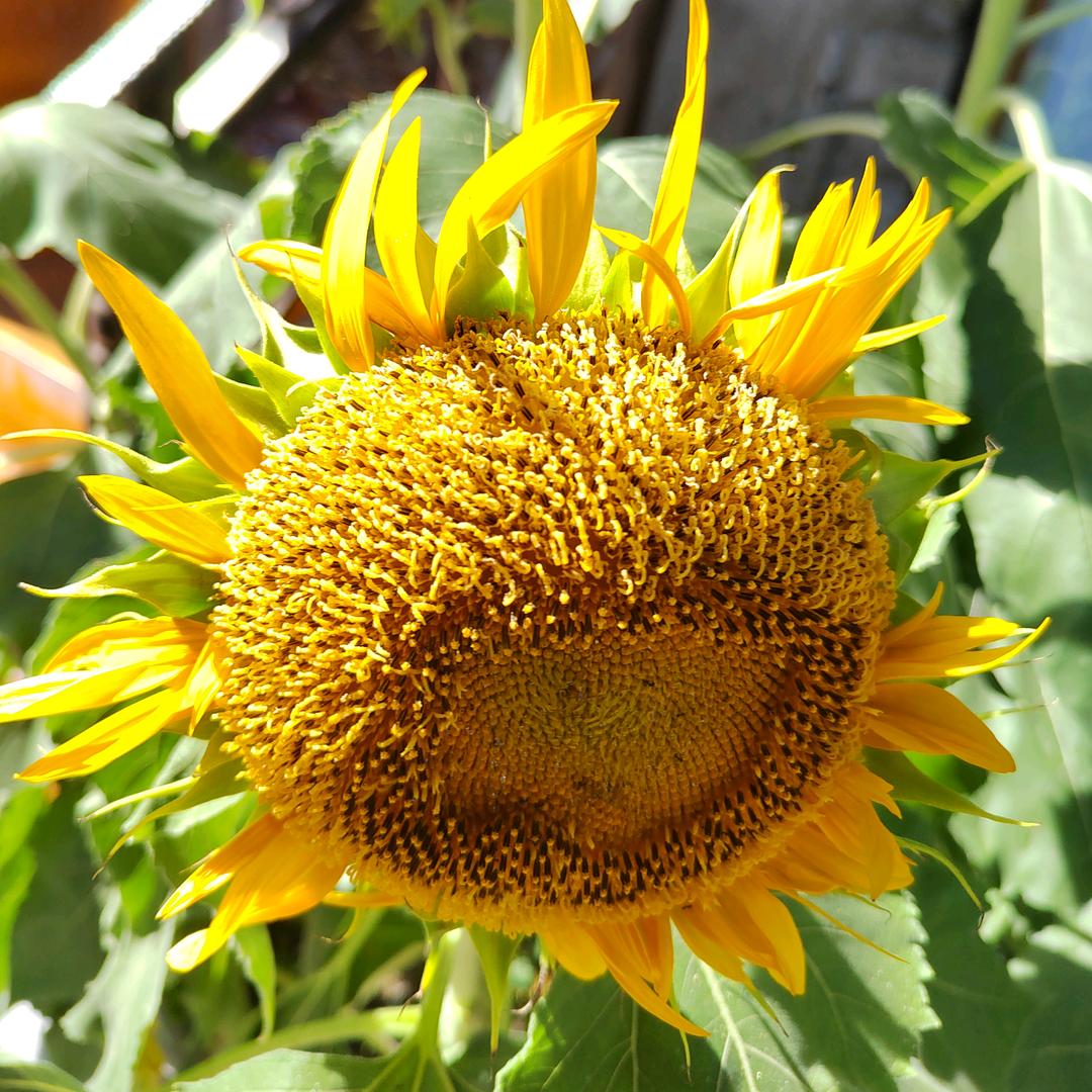 做自己的“宇宙” 一路向阳