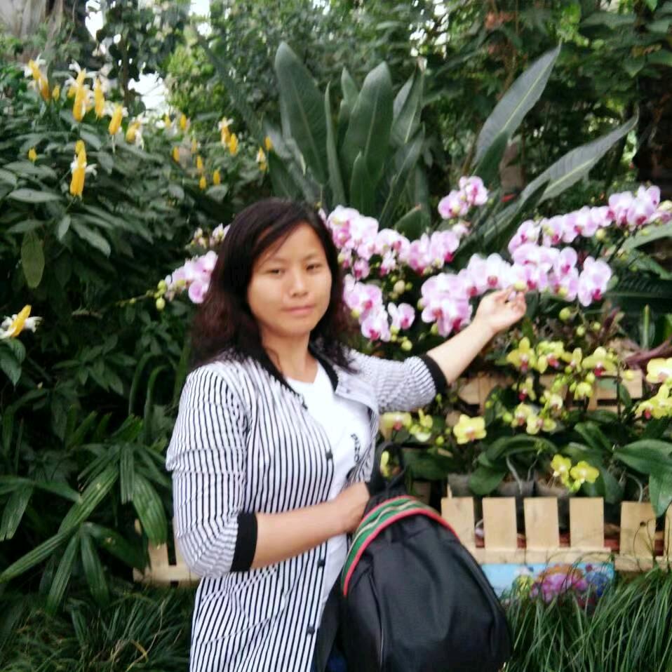 段大姐