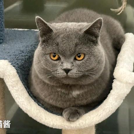 会说车的鱼