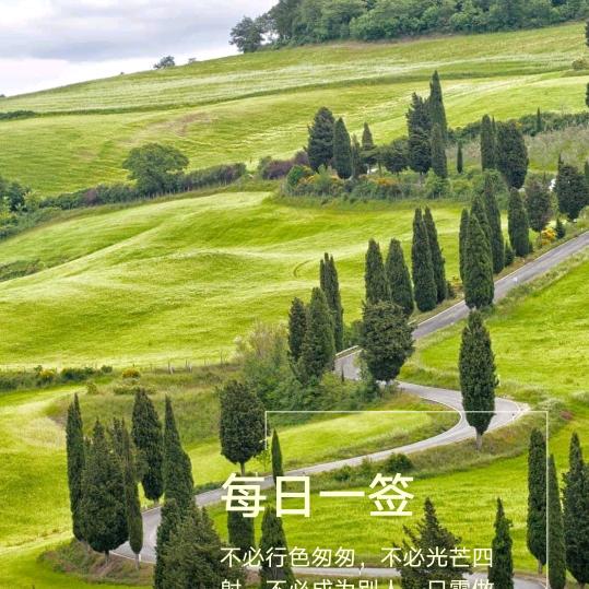 范枝