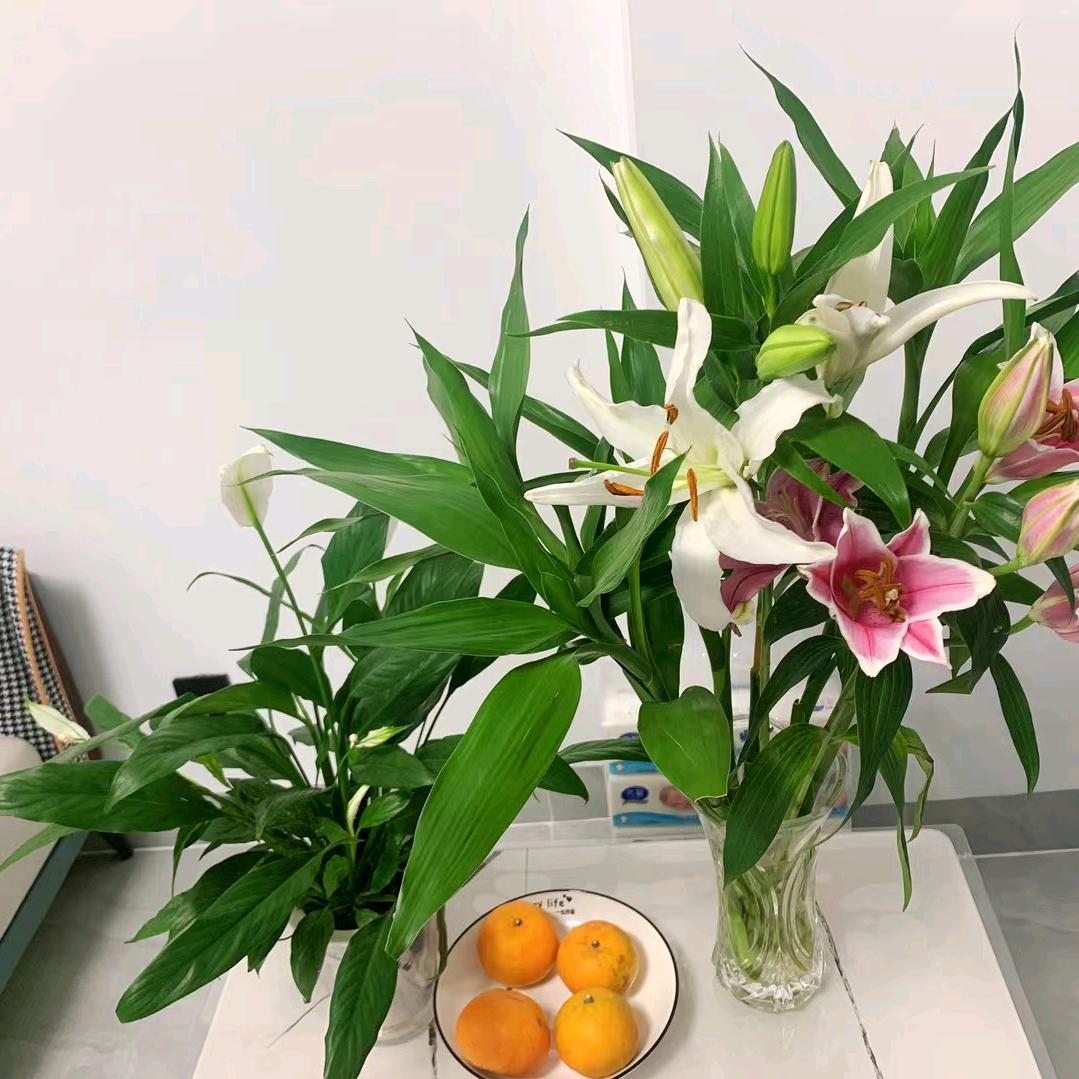 悠悠缘