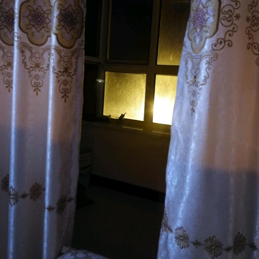 韩可以，，，