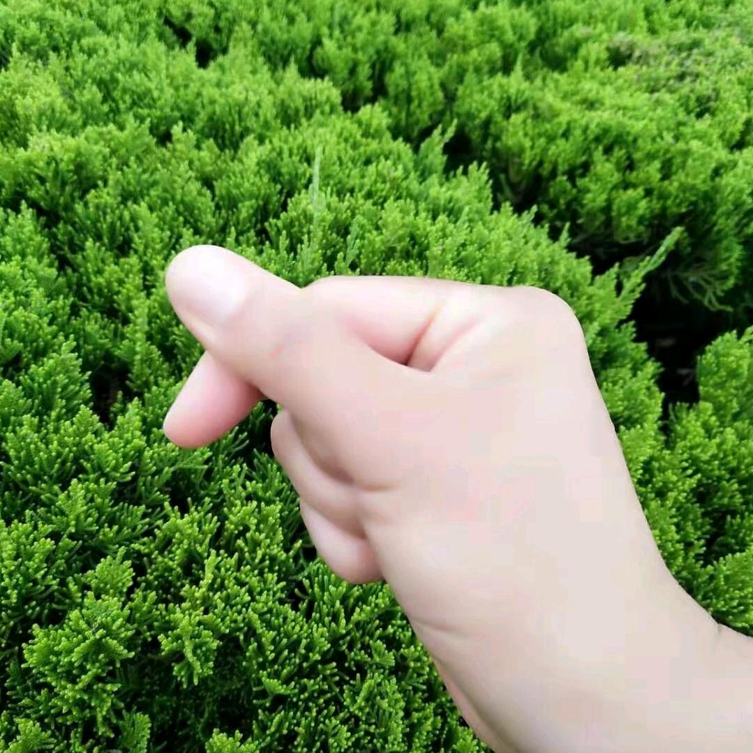 原来是辉呀