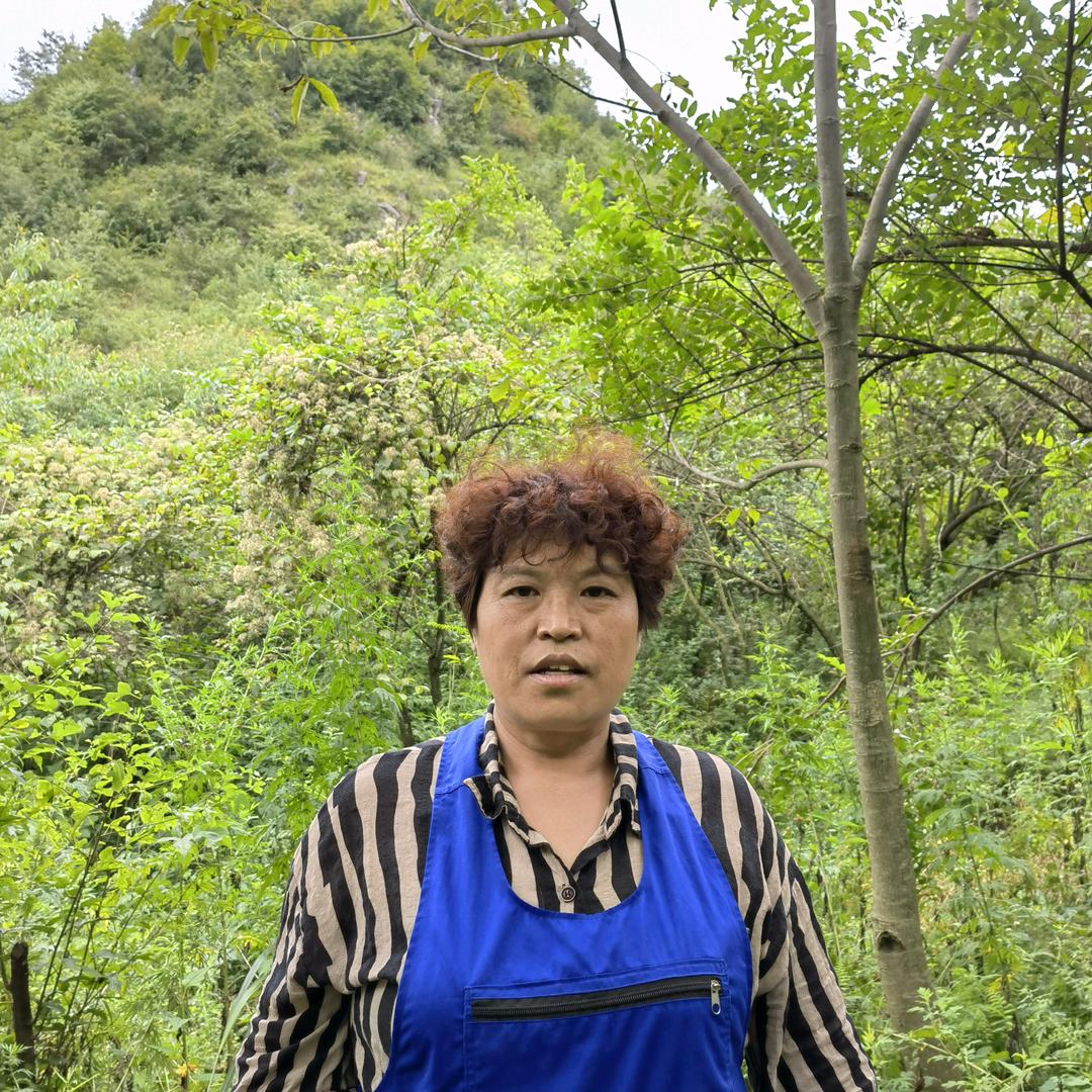大珍姐