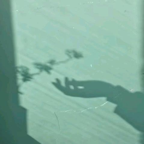 听_雨眠