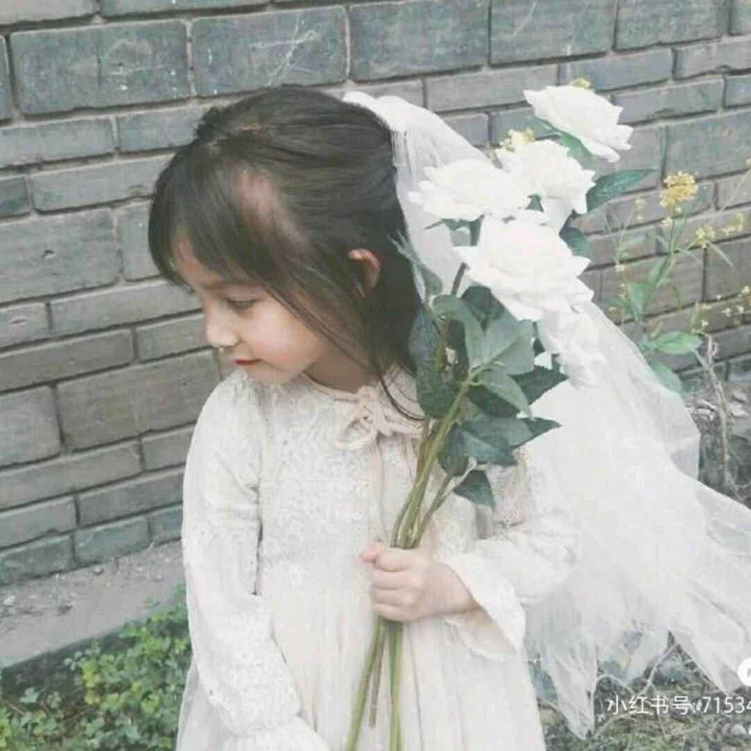 是白菜啊