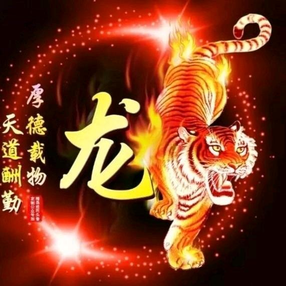 龙行天下,