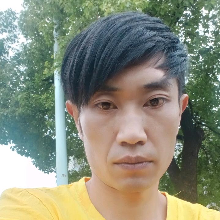 王登显