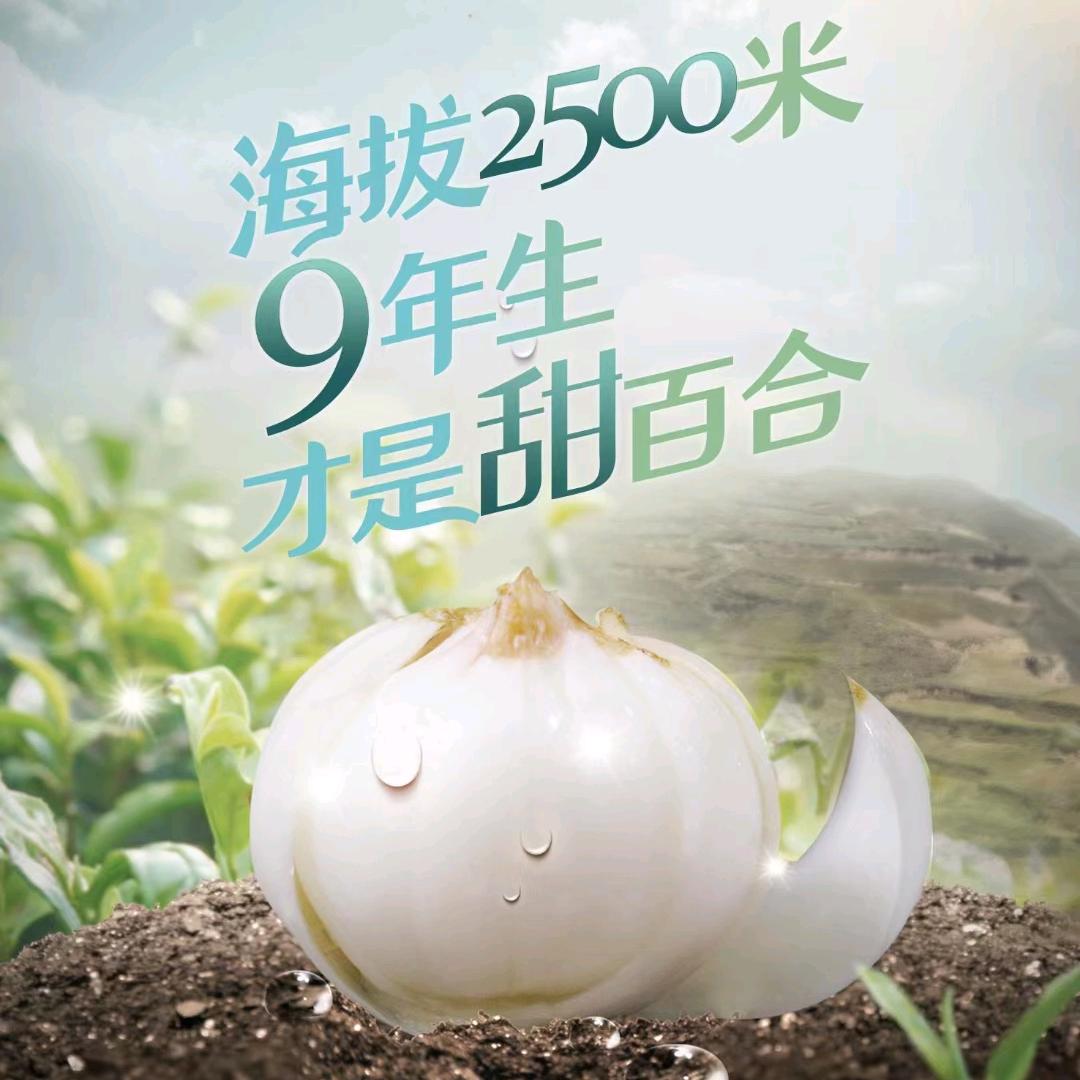 金德旗舰店