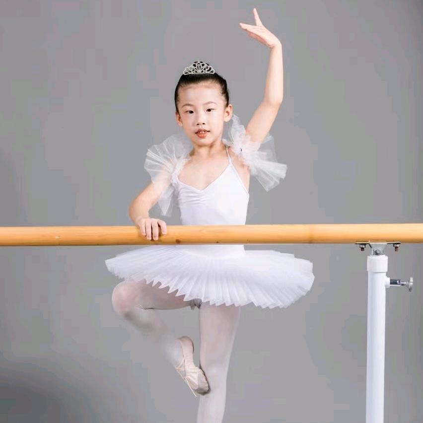 丽景公寓