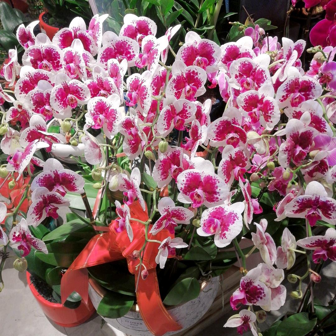 @铃铃@欣欣@玥玥