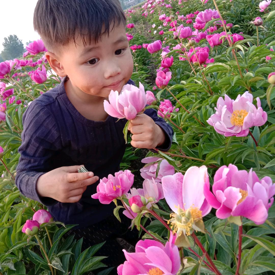 思湘