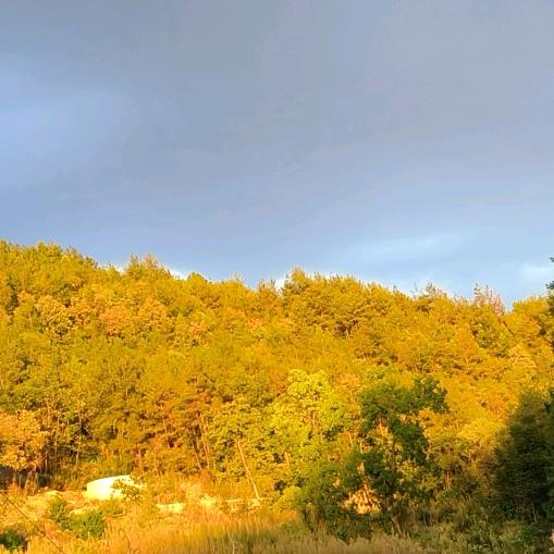 原来如此的元子弹