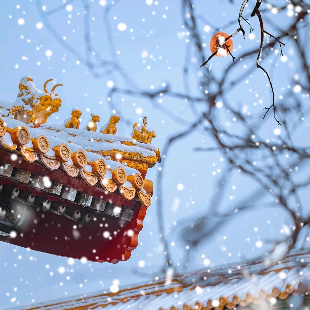白雪歌