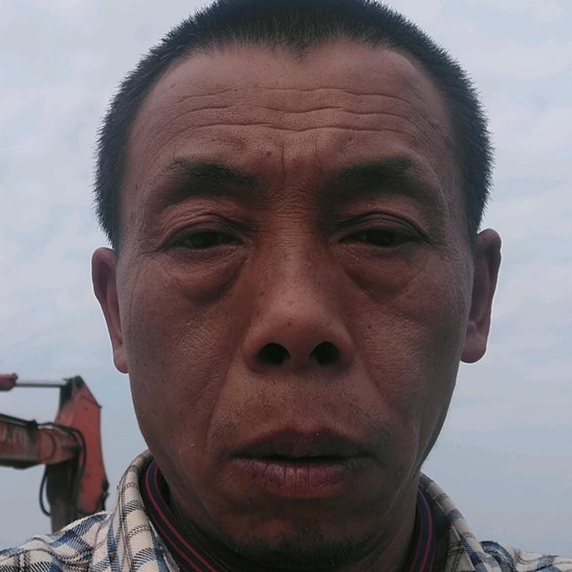 枝头常春