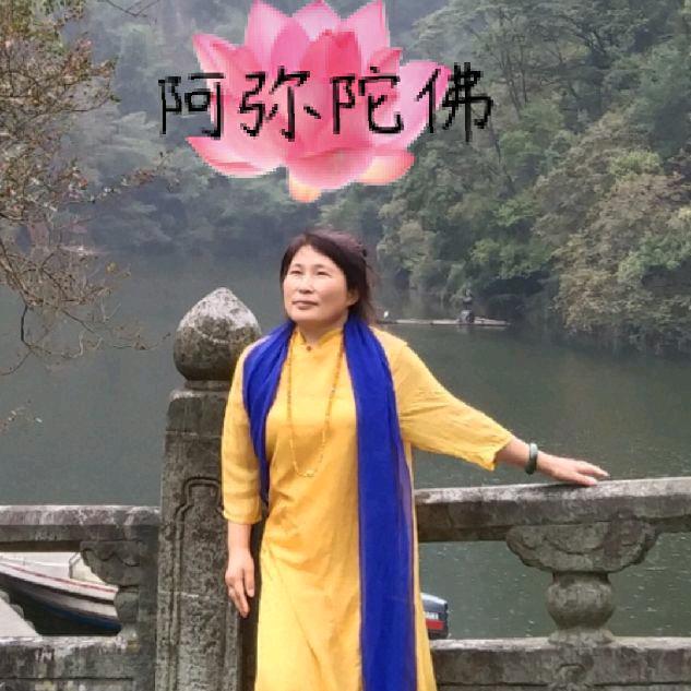 DlNO恐龙币🐉天道社区~传奇女神