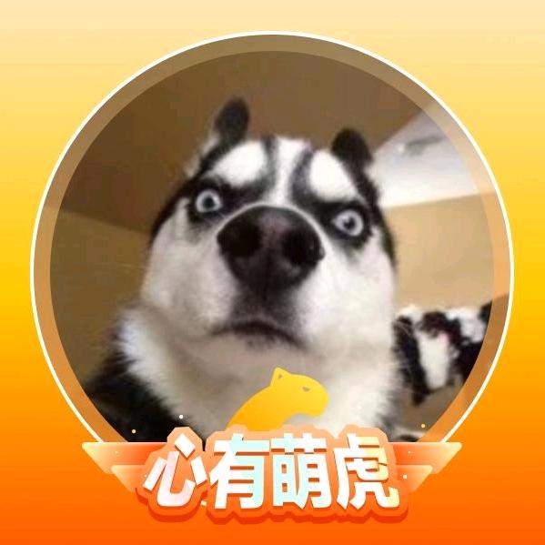 万能的小马