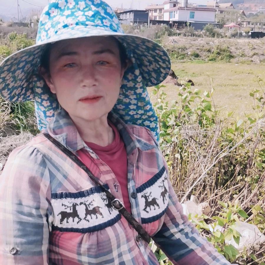 永爱不回