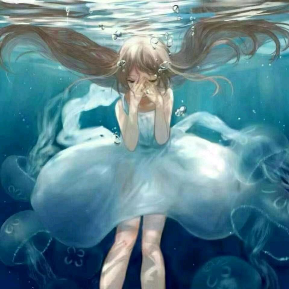 🐬小虾米