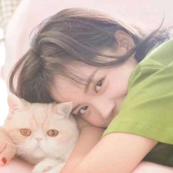 执拗的刺猬