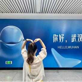 数字江豚