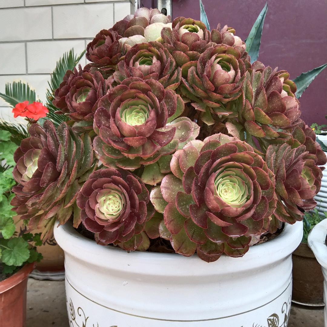 奋斗.