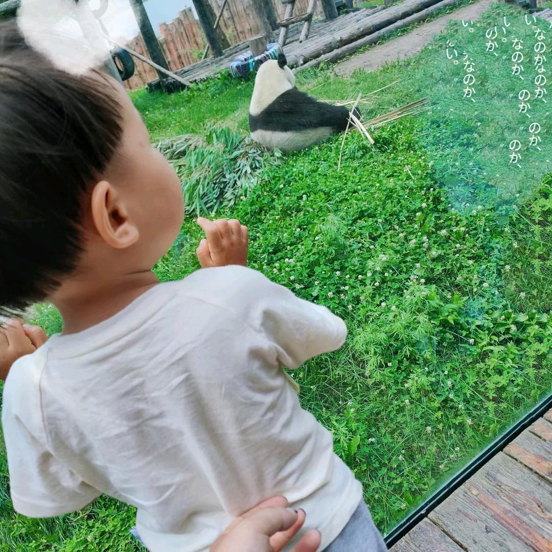 好好的快乐生活