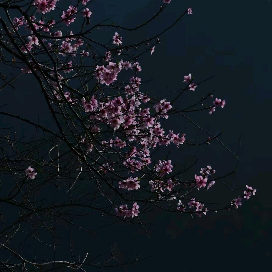 螺丝钉