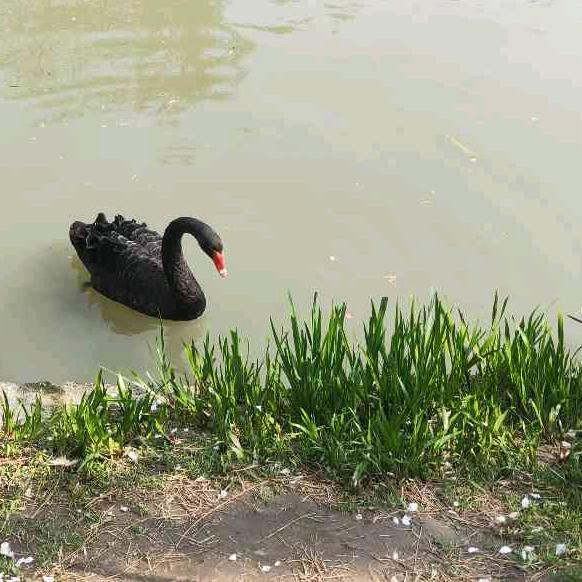 好运，等你来