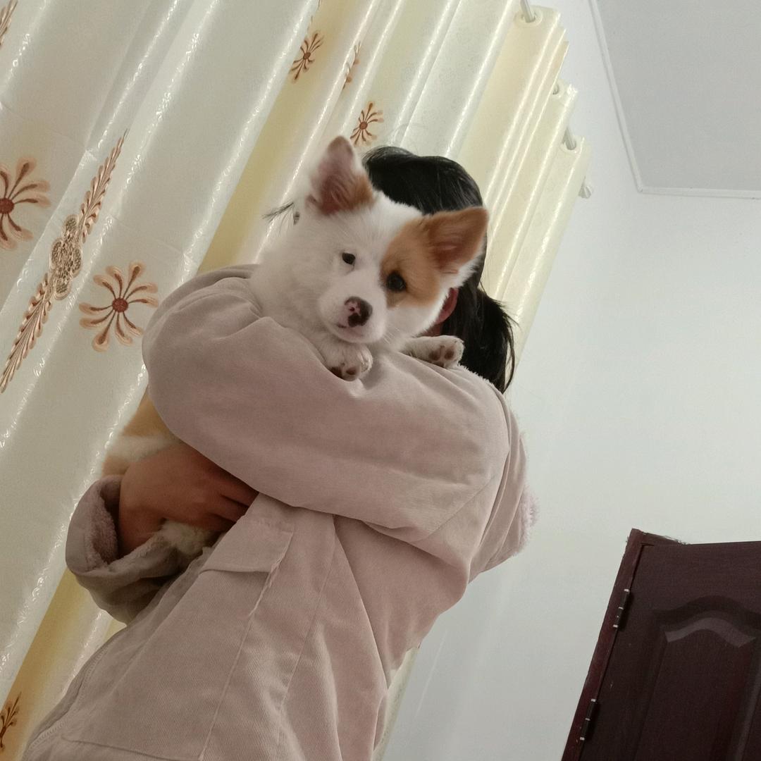 温柔!