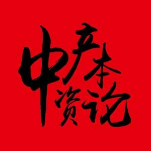 中产资本论