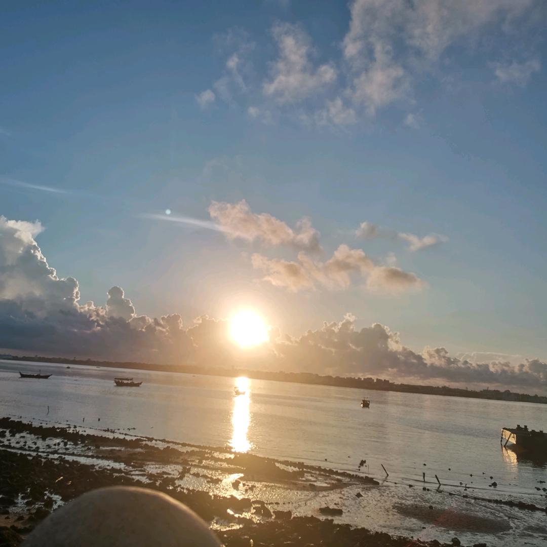 琳柠灵凌玲林🤣