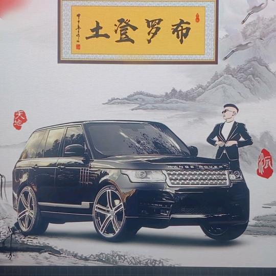 西北紫斑牡丹（董小龙）