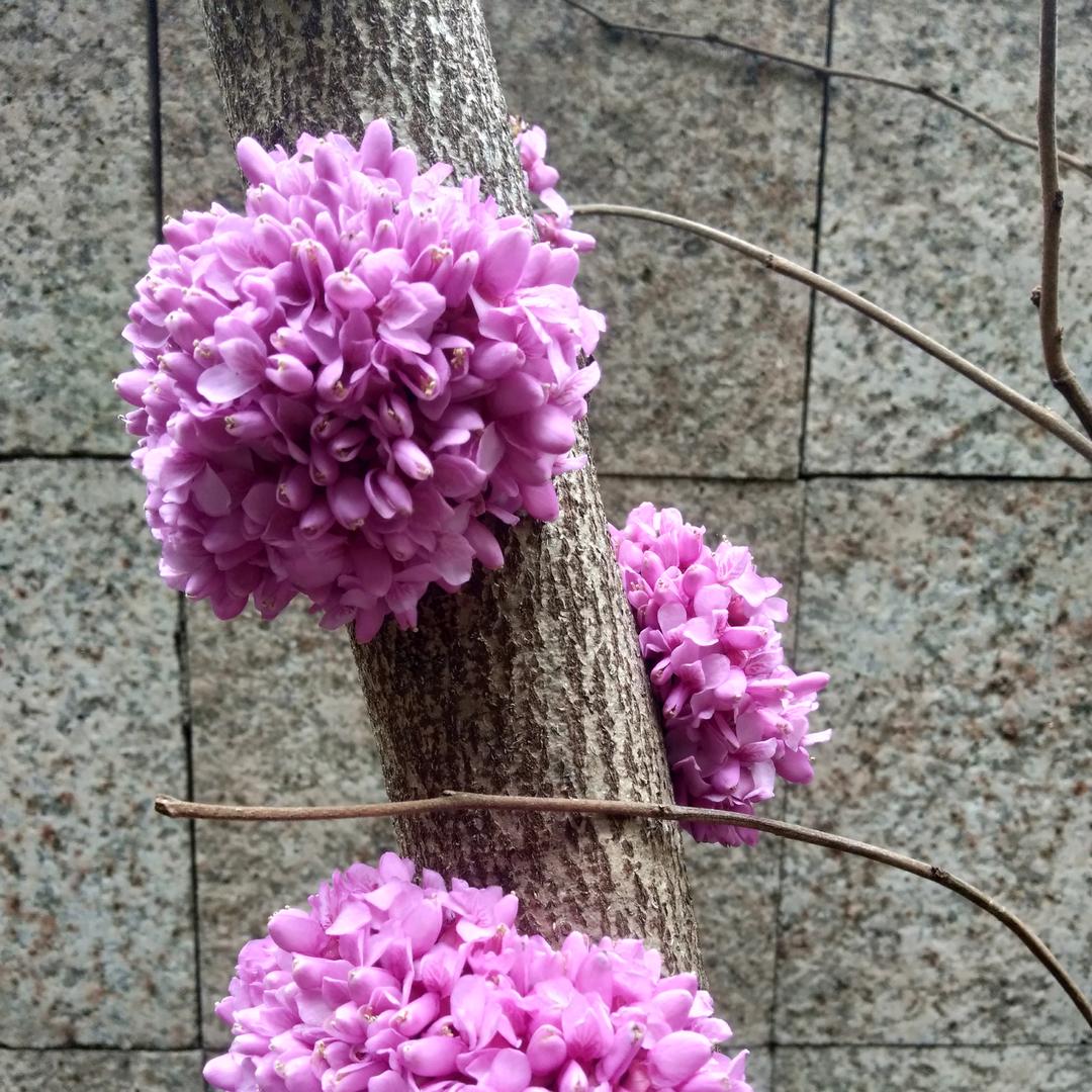 聆听、❤️❤️