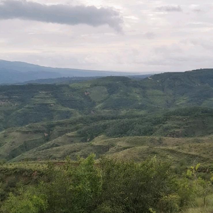 ？？？？？？？？