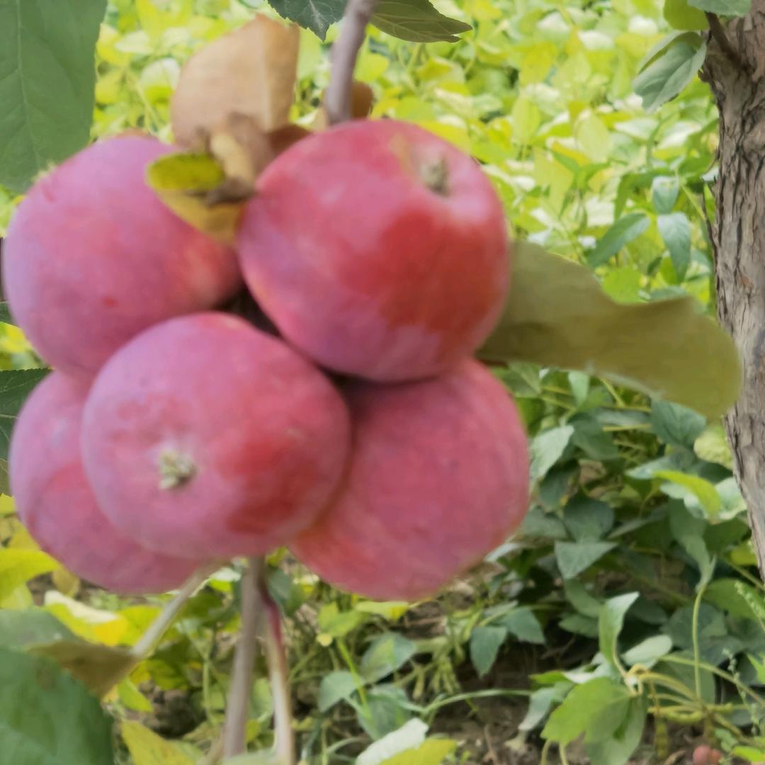 好汉