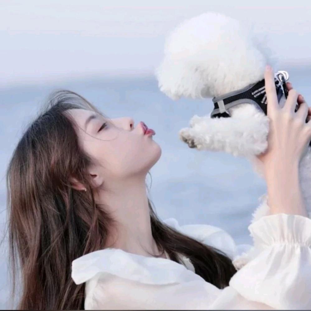 茵猪猪