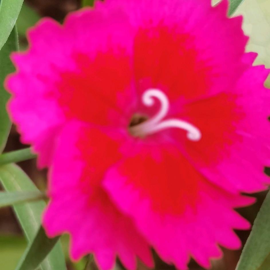 夏天的太阳，怕吗？