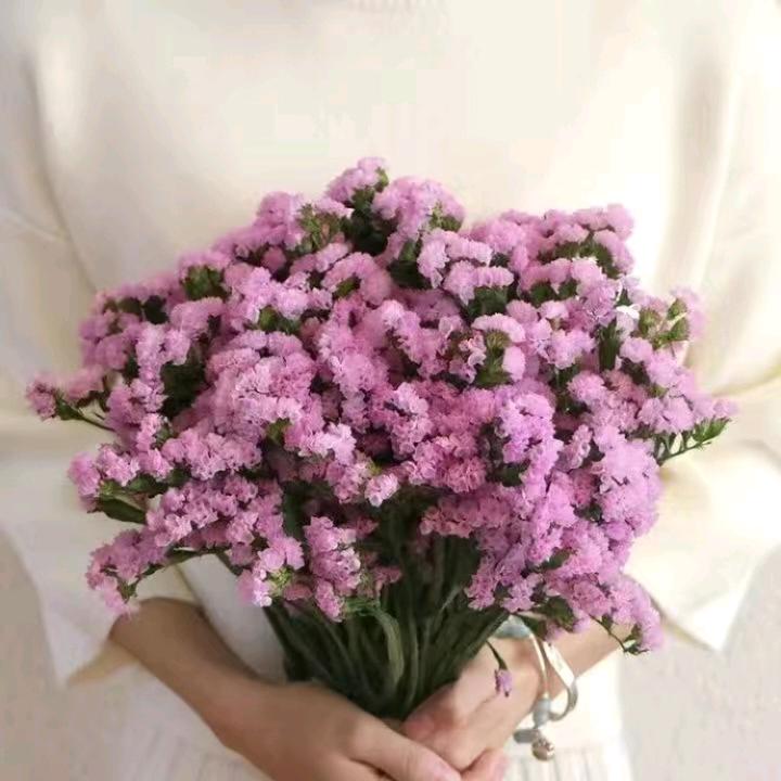 卖卤鹅的小姐姐