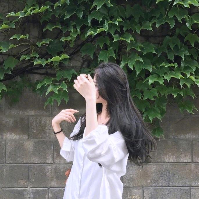 云栖鹿鸣
