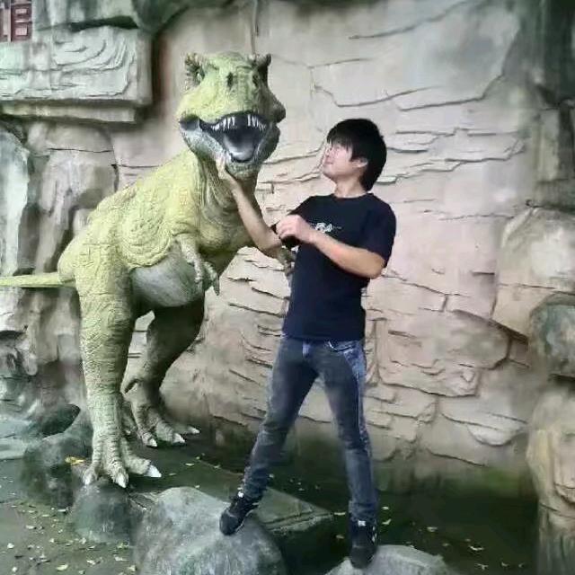 亳州王辉家电