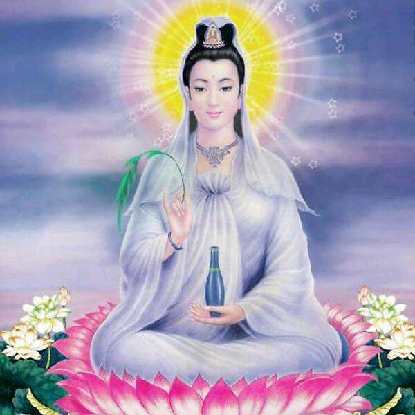 一心向佛🙏