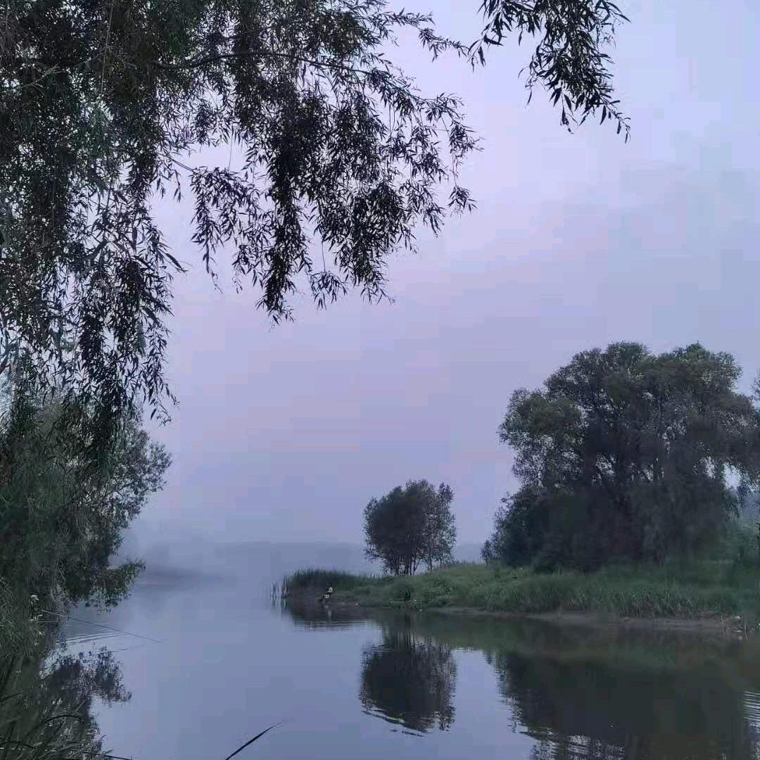 浅笑心柔