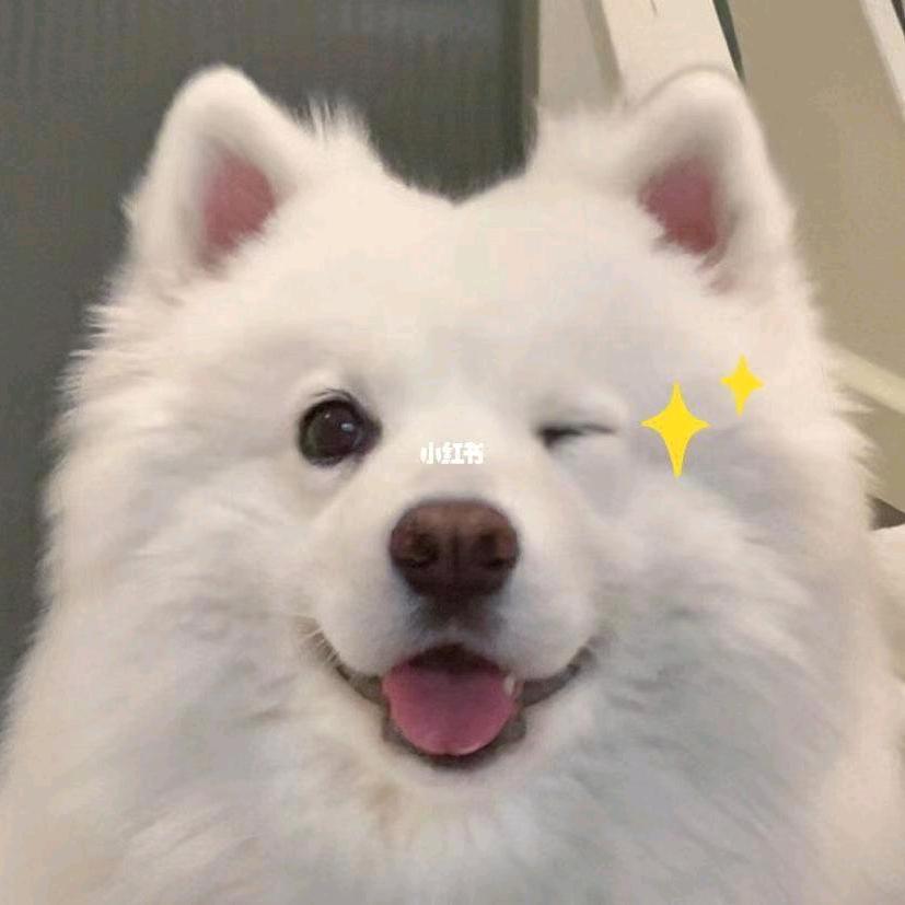 呵哒~（封）
