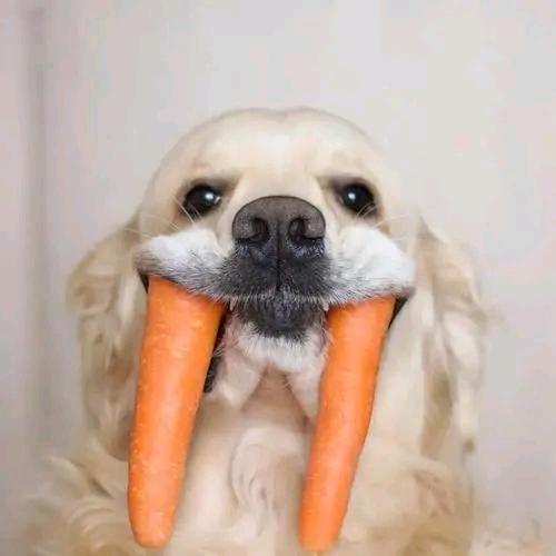 人待我何，亦待人何