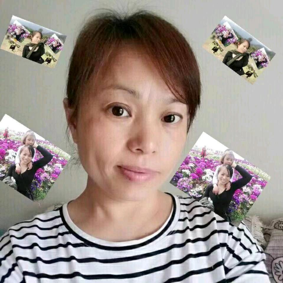 陈莉