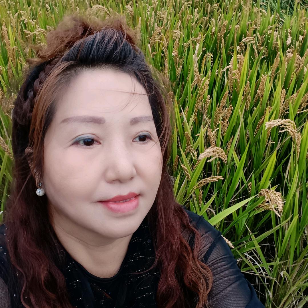 不用捧的星星（一片秋叶一片寒）小魏婆婆