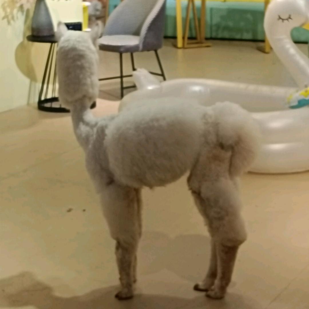女生