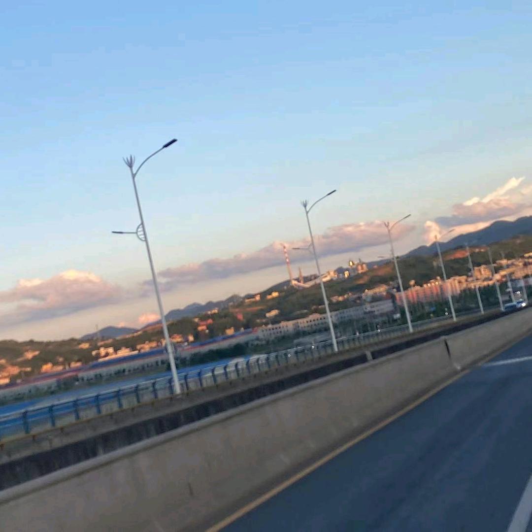 格桑花，